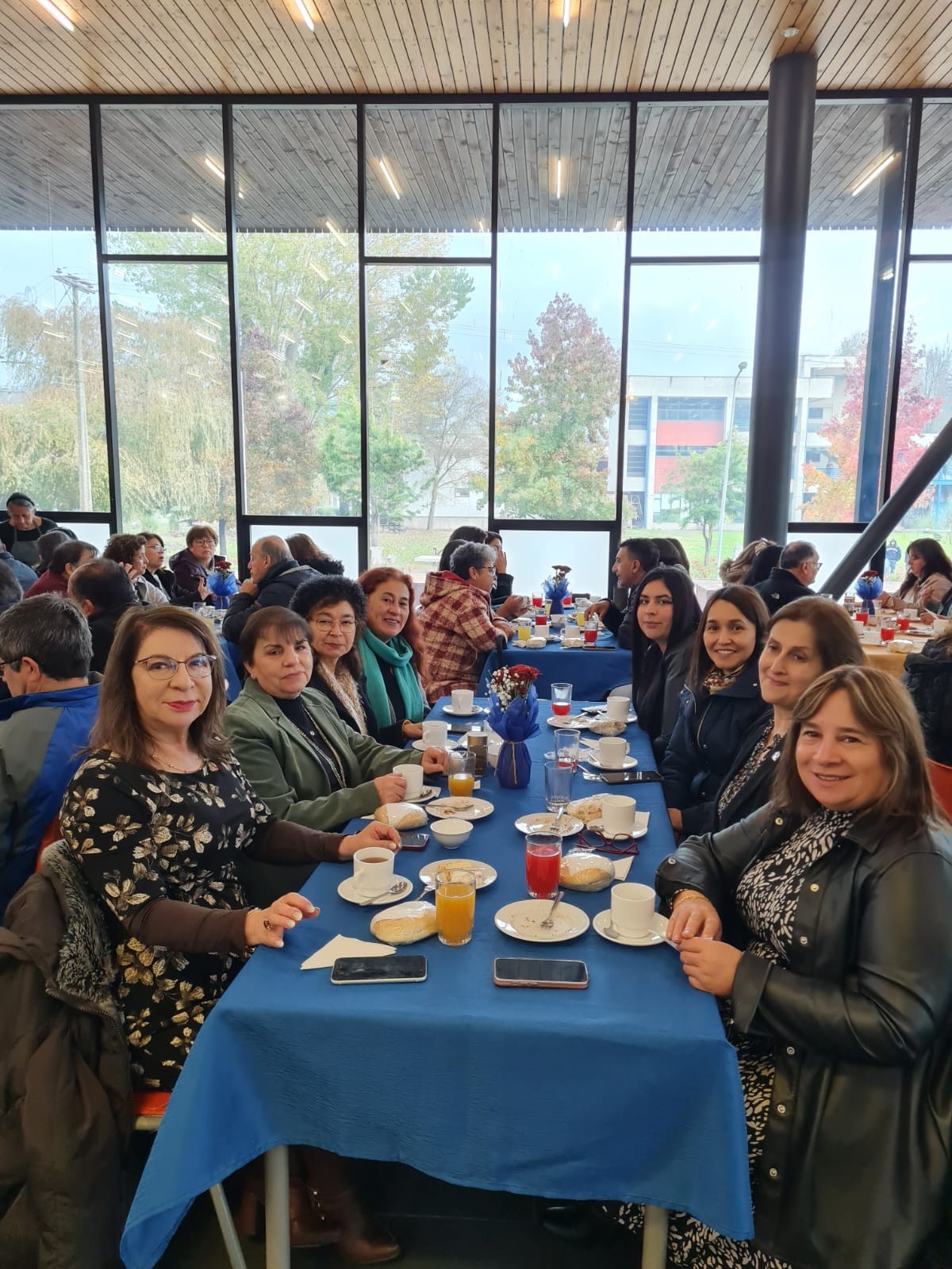 Imagenes destacadas